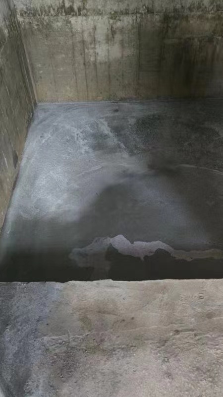 竹東中豐路